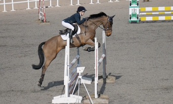 Matti Mercer from Trull, Somerset aged 14 secured first place last month in the Schools 1.00m League Class at Kings Sedgemoor Equestrian Centre
